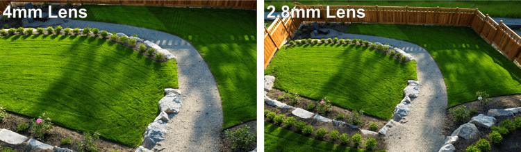 Camera Focal Length Comparison (Backyard)